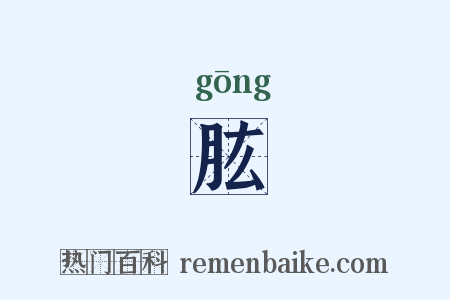 肱是什么意思的图片